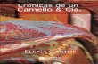Crónicas de un camello & Cía.