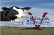 Blind Badger Ranch Online Sale Catalog