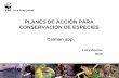Plan de accion para la conservacion de Yacare
