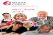 Essex Cares Impact Report 2010/2011