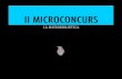 II MIcroconcurs de Microrelats