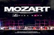 Mozart, l'opéra Rock - Le livre Officiel