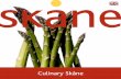 Culinary Skåne