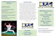 MLB Pitching Brochure