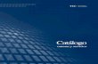 Catálogo de Carreras 2011 -TEC