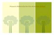 Proyecto reforestación pas