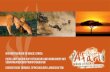 Magic Africa - Fotosafaris und -Workshops mit Afari Team