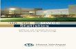 MWCC 2008-2009 Statistics Brochure