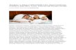 Horlama ve Tıkayıcı (Obstrüktif) Uyku Apnesi Sendromu
