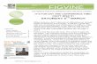 FIGVINE Newsletter for Lewisham Fathers