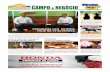 Informativo Campo & Negócio - 001