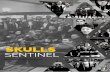VCU Skulls Sentinel - Issue III