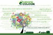 Programme Europe Ecologie Languedoc Roussillon