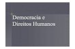 Democracia e Direitos Humanos - Prof. Wolvey Linz