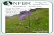 NFBR Newsletter 47 - January 2014