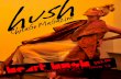 Hush Chicago Magazine/Feb. 2011 Issue/Heart Hush