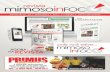 Revista Mimoso InFoco