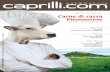 Caprilli.com - Aprile 2011