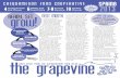Grapevine Spring 2013