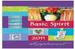Basic Spirit 2011 Supplement