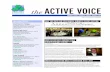 11.2013 The Active Voice Newsletter