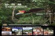 Malaysia Travel Guide - Sarawak