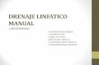 Drenaje linfatico manual por yuleyka arana