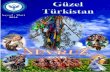 Güzel Türkistan Sayı 2 (Nevruz Özel Sayısı)