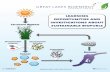 EO Biofuels Life Cycle Poster