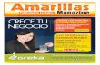 Amarillas Magazine
