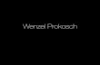 Wenzel Prokosch | Portfolio