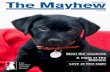 Mayhew Magazine Spring 2014 - edition 38
