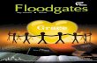 Floodgates 062