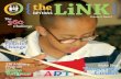 The Link Issue 4.2