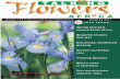 Talking Flowers Magazine