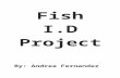 Andrea's fish id project