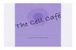 Cell Project Journal