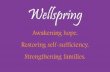Wellspring 2012 Annual Appeal