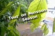 Tour on monsoon