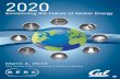 2020 Envisioning the Future of Global Energy