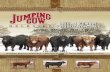 2012 Jumping Cow Bull & Female Sale