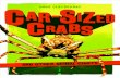 Car-Sized Crabs
