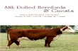 ANL Polled Herefords & Guests