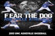 UNC Asheville Baseball Media Prospectus