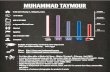 Muhammad Taymour Portfolio