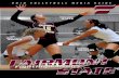 2010 FSU Volleyball Medi Guide