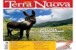 Terra Nuova - maggio 2012 - n.272 - ANTEPRIMA