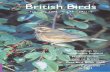 British Birds - Sample Issue