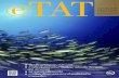 3/2549 eTAT Tourism Journal