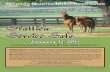 2013 MQHA Stallion Service Sale 1.8.13